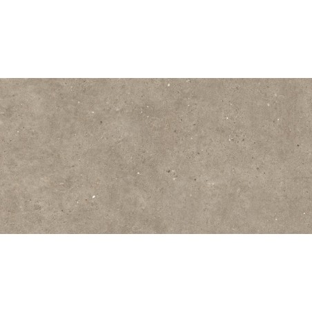 SILVER GRAIN TAUPE 60X120, RETIFICIRANA, MAT